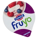 Fruyo Ai Frutti di Bosco 0% Grassi, 150 g